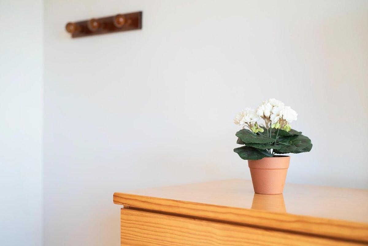 Argualas Triplex Con Piscina 팬틱코사 외부 사진